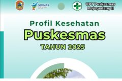 PROFIL KESEHATAN PUSKESMAS